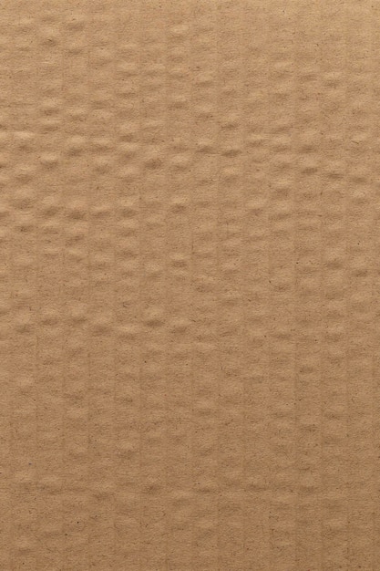 Fundo de papelão de textura de folha de papel pardo