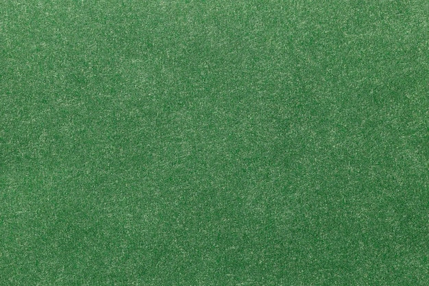 Fundo de papelão de textura de folha de papel verde