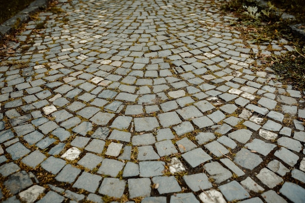 Fundo de paralelepípedos com grama no centro da cidade de uzhgorod