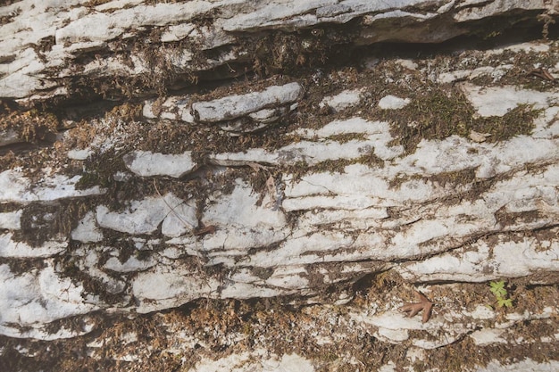 Foto fundo de parede de pedra áspera com musgo seco e solo