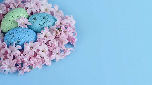 Fundo de Páscoa com ovos de Páscoa azuis no ninho de flores da primavera.