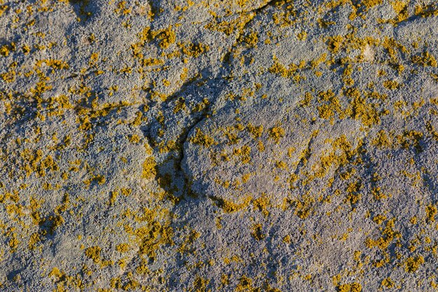 Fundo de pedra moldada cinza