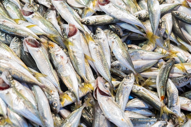 Fundo de peixes pequenos crus frescos no mercado