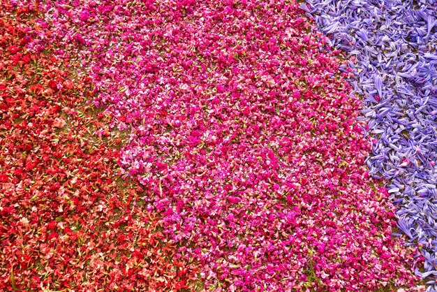 Fundo de pétalas de flores