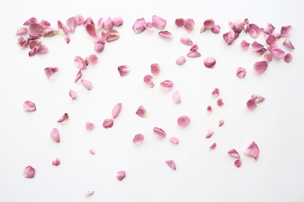 Foto fundo de pétalas de rosa e vermelho / fundo de aroma abstrato, pétalas de rosa de spa