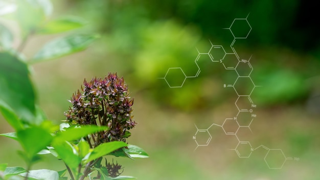 Fundo de plantas com estrutura de bioquímicaInterface de tela virtual inteligente em fundo de natureza suave e desfocado Energia sustentável