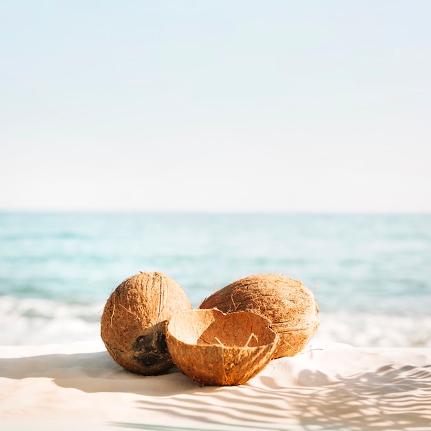 Foto fundo de praia com três cocos