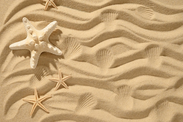 Fundo de praia de areia com vista superior de estrelas do mar