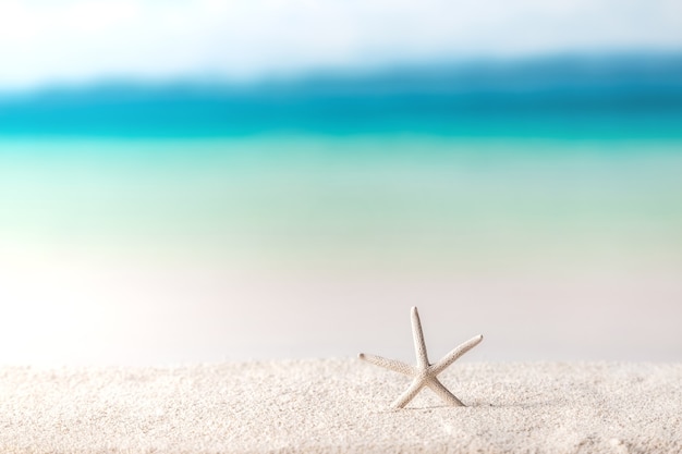 Fundo de praia, estrela do mar na areia