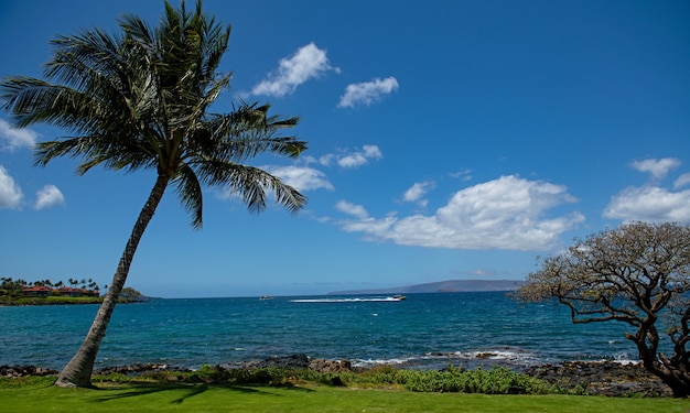 Fundo de praia havaiana curtindo o paraíso no Havaí panorama paisagem tropical de paisagem de verão ...