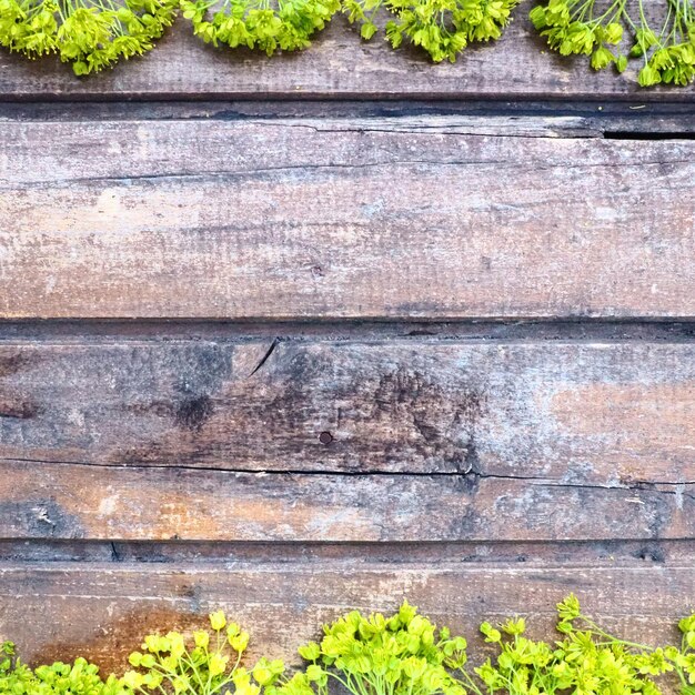 Fundo de pranchas de madeira horizontais escuras emolduradas com flores de bordo verdes folhas de galhos