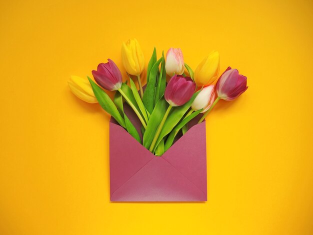 Fundo de primavera. Tulipas coloridas em envelope para o dia da mulher ou a Páscoa