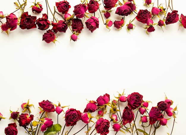 Fundo de rosas vermelhas secas em um fundo branco Conceito de flor Vista superior Copiar espaço