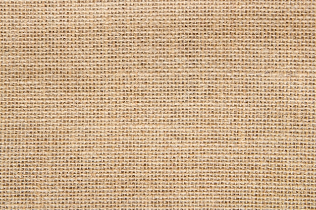 Fundo de serapilheira e textura