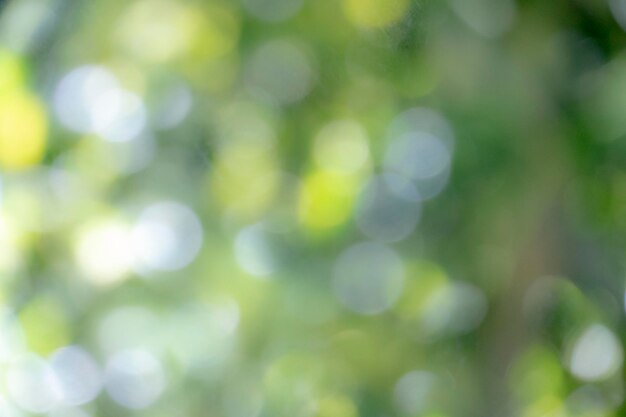 fundo de sobreposição de bokeh