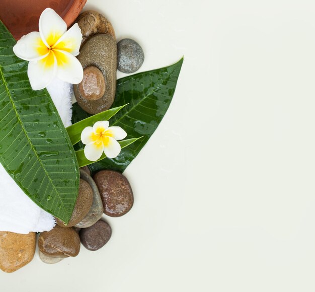 Fundo de spa com flores de folhas verdes e pedras em branco