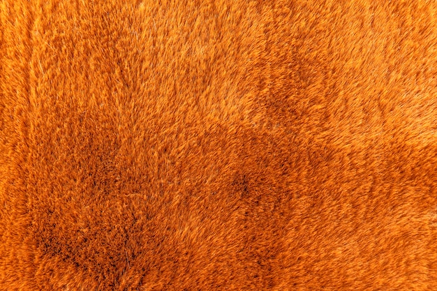 Fundo de tapete de lã laranja de textura