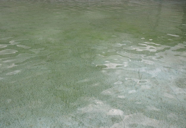 Fundo de textura de água verde