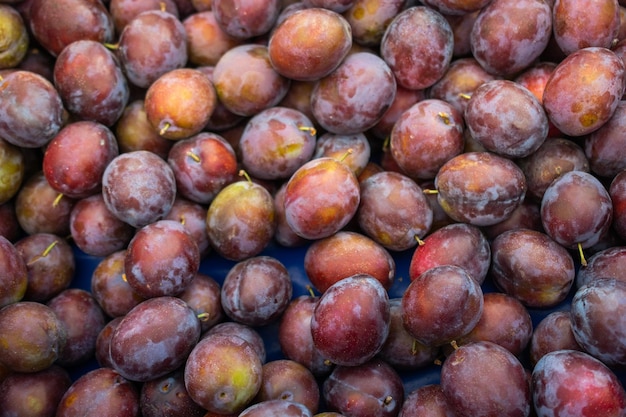 Foto fundo de textura de ameixas azuis frescas como imagem de fruta