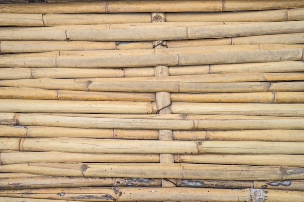 fundo de textura de bambu