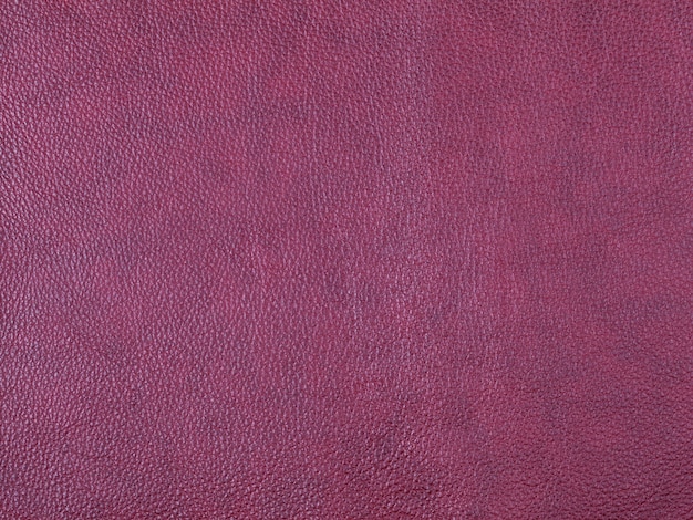 Fundo de textura de couro violeta genuíno. Foto macro