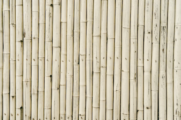 Fundo de textura de fileira de bambu