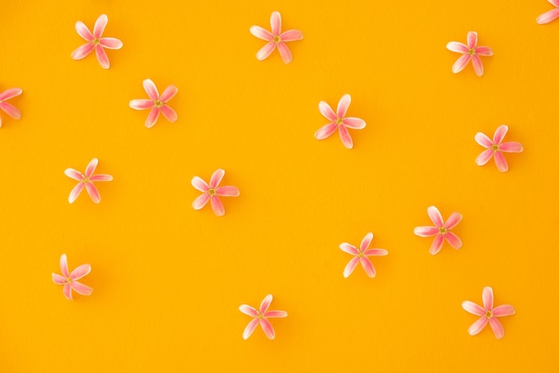 fundo de textura de flor