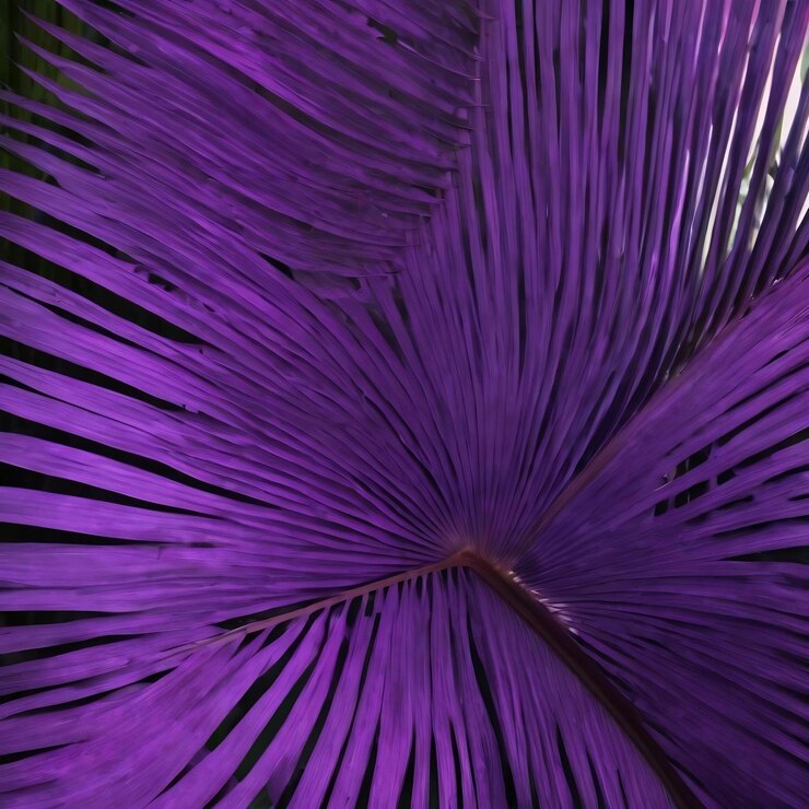 Foto fundo de textura de folha de palmeira roxa