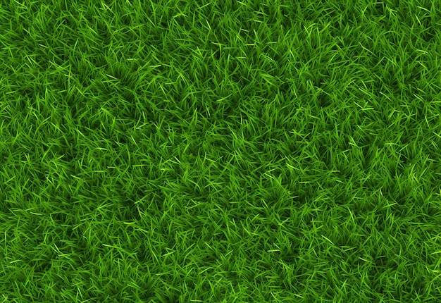 Foto fundo de textura de grama verde calmante