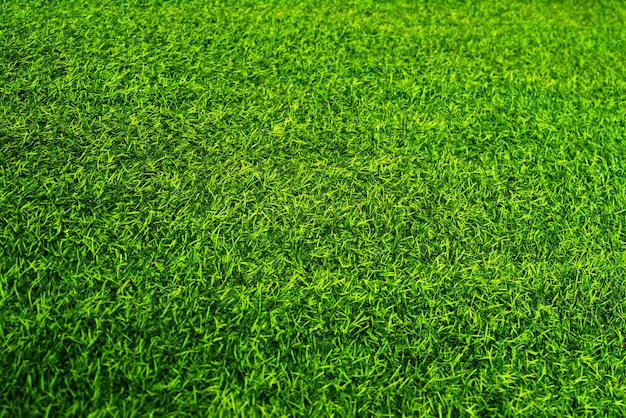 Fundo de textura de grama verde conceito de jardim de grama usado para fazer campo de futebol de fundo verde Grama Golf padrão de gramado verde fundo texturizado x9