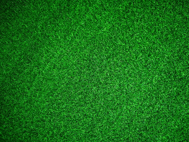 Fundo de textura de grama verde conceito de jardim de grama usado para fazer campo de futebol de fundo verde Grama Golf padrão de gramado verde fundo texturizado