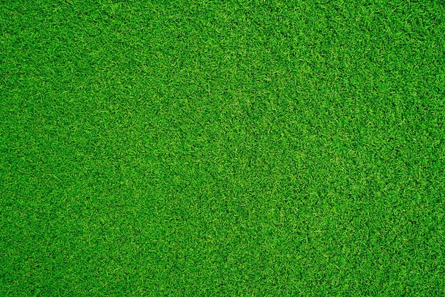 Fundo de textura de grama verde conceito de jardim de grama usado para fazer campo de futebol de fundo verde Grama Golf padrão de gramado verde fundo texturizado