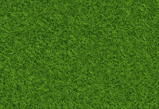 Fundo de textura de grama verde