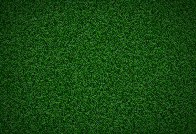 Foto fundo de textura de grama verde