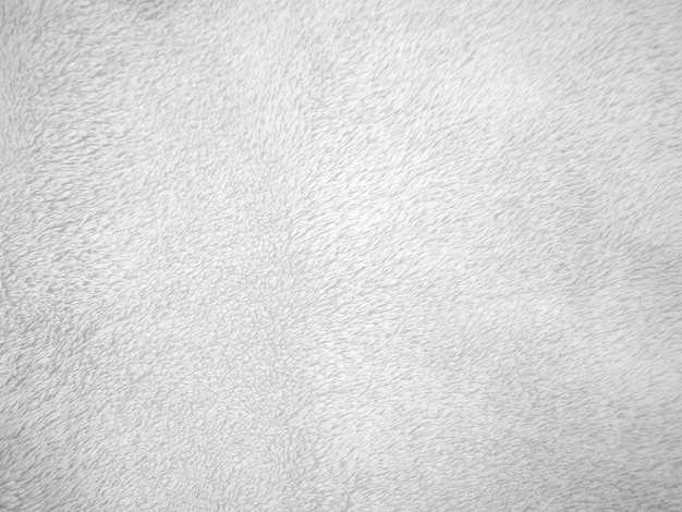 Fundo de textura de lã limpa branca luz de lã de ovelha natural textura de algodão sem costura branca de pele fofa para designers fragmento de tapete de lã branca