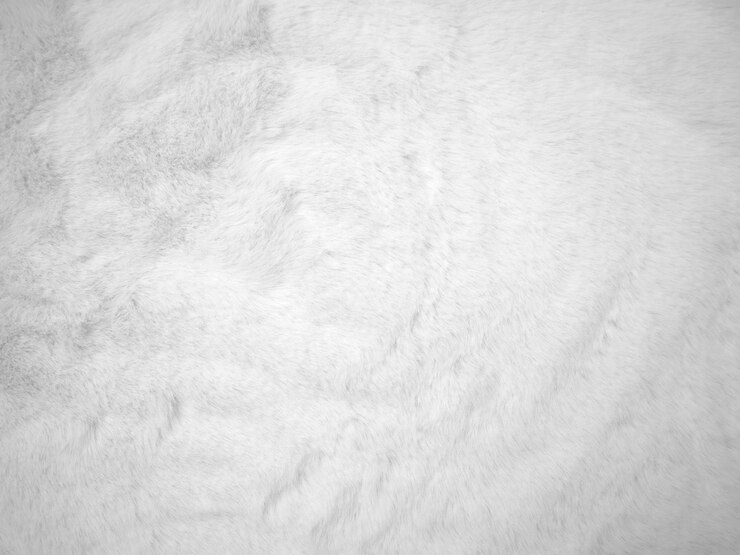 Foto fundo de textura de lã limpa branca luz de lã de ovelha natural textura de algodão sem costura branca de pele fofa para designers fragmento de tapete de lã branca