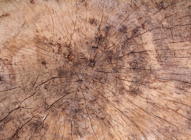 Fundo de textura de madeira com padrões de prancha visíveis