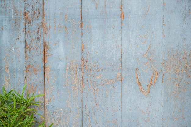 fundo de textura de madeira com planta