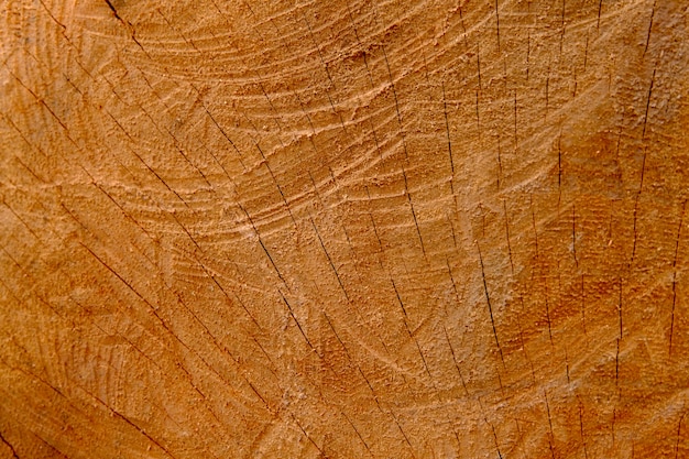 Fundo de textura de madeira, fundo de papel de parede retrô, log closeup