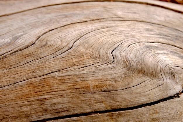 Fundo de textura de madeira, fundo de papel de parede retrô, log closeup