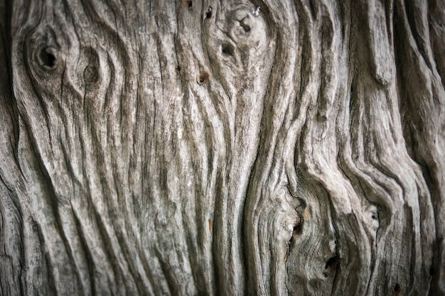 fundo de textura de madeira natureza.