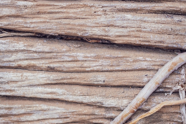 Fundo de textura de madeira