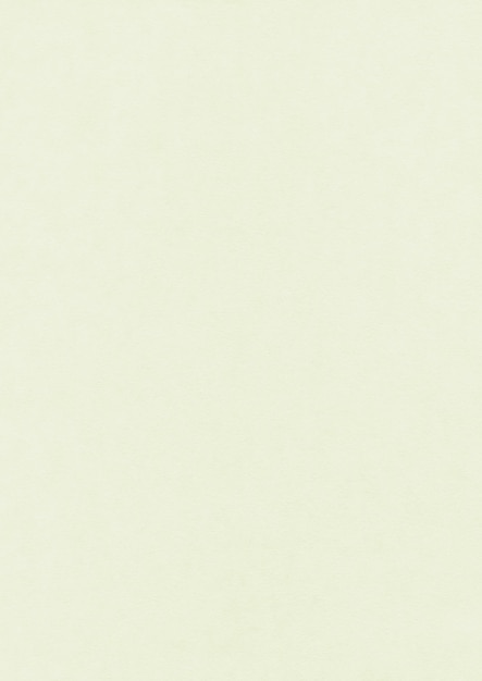 Fundo de textura de papel natural branco