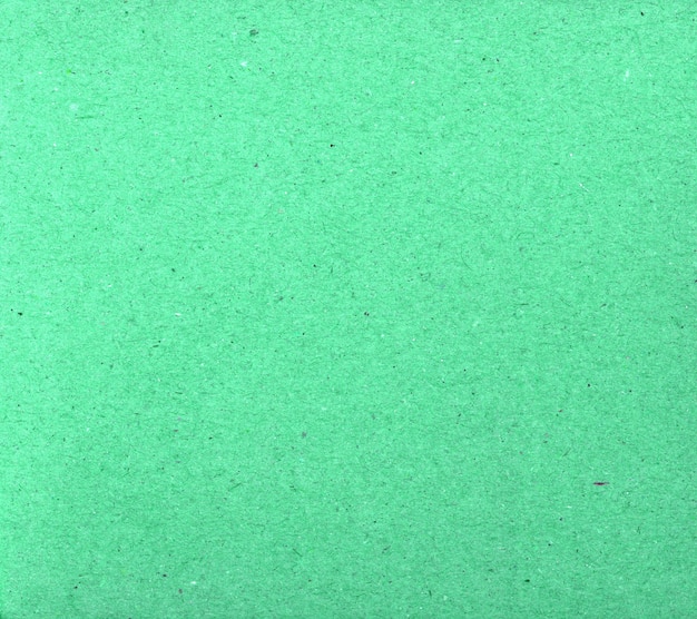 Fundo de textura de papelão verde claro