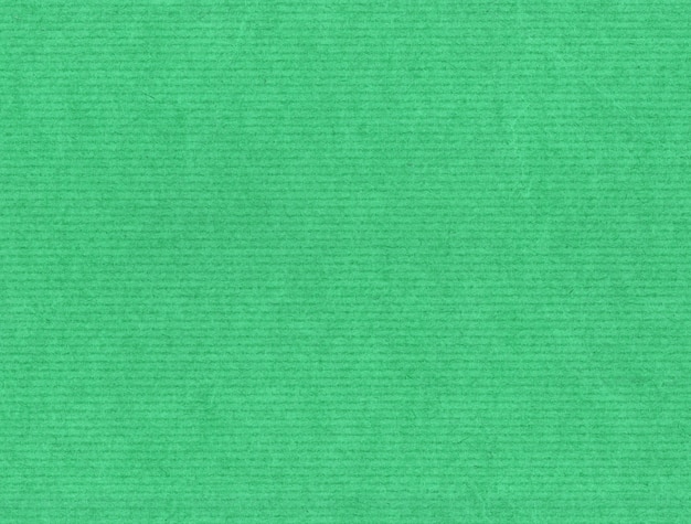 Fundo de textura de papelão verde claro