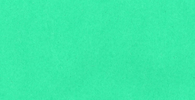 Fundo de textura de papelão verde