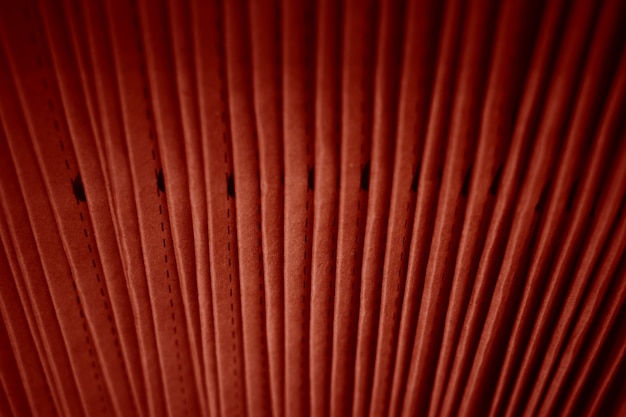 Fundo de textura de papelão vermelho vintage