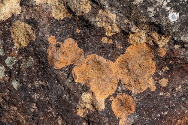 Fundo de textura de pedra.