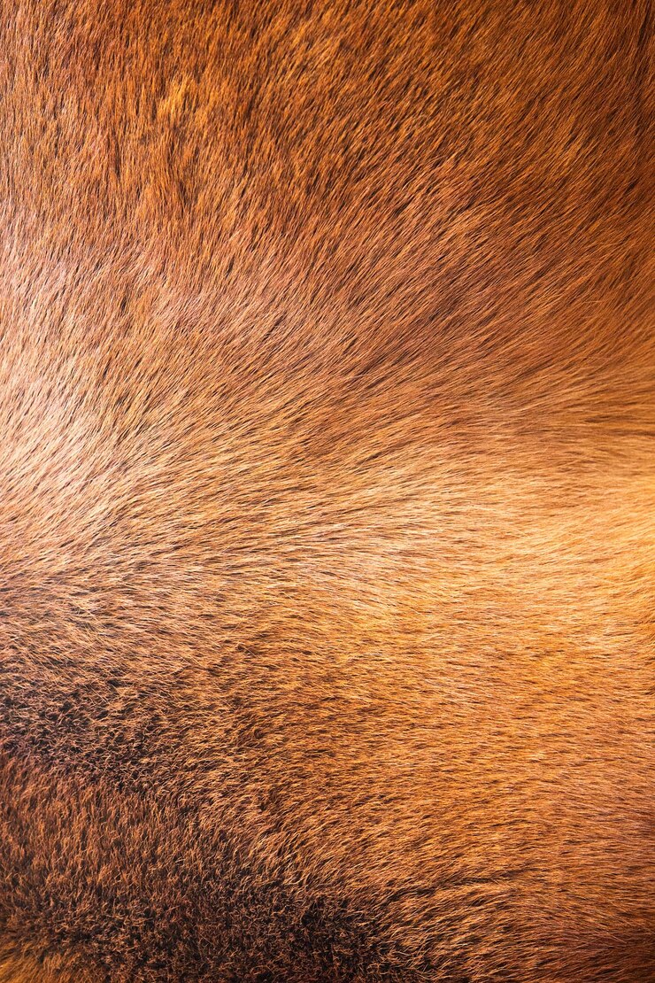 Foto fundo de textura de pele natural