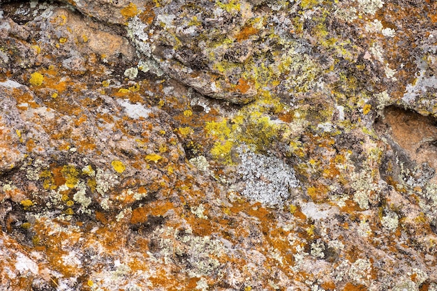 Fundo de textura de rocha vermelha musgosa